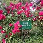 Lovely Rita Studio, Modern - Balcony And Mountain View - Center *