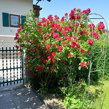 דירה Lovely Rita,