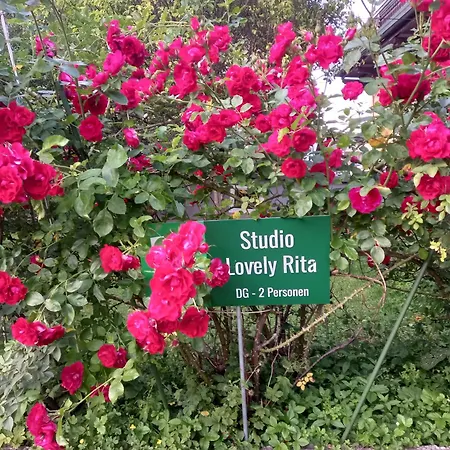 Lovely Rita Studio, Modern - Balcony And Mountain View - Center *
